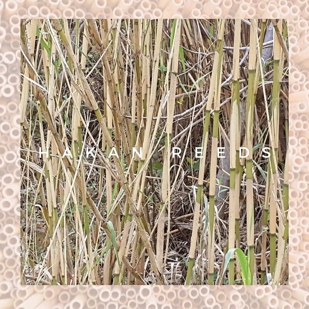 The HAKAN REEDS signature among natural cane