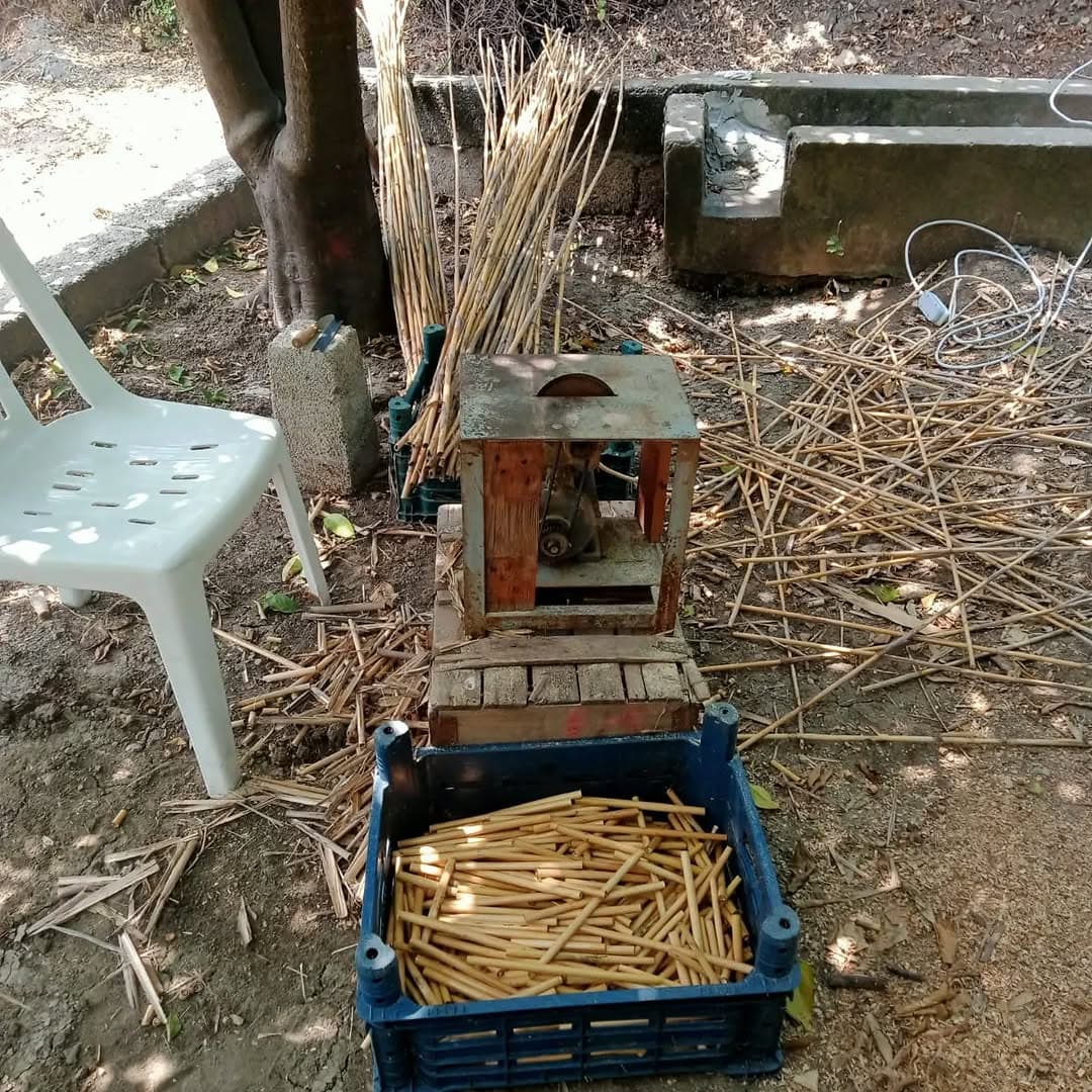 Cane cutting and preparation station
