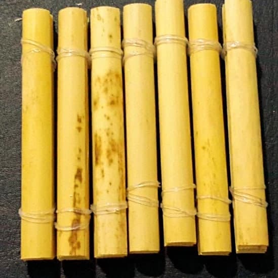 Selected cane stems with intact nodes